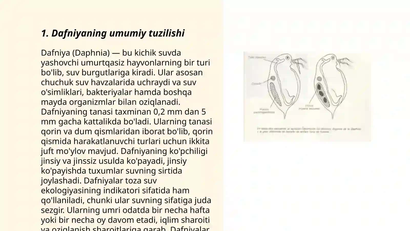 Dafniya va siklopning tuzilishi, tarqalishi 3