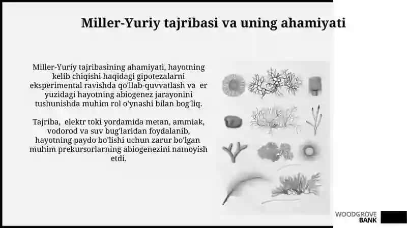 Miller-Yuriy tajribasi va uning ahamiyati 3