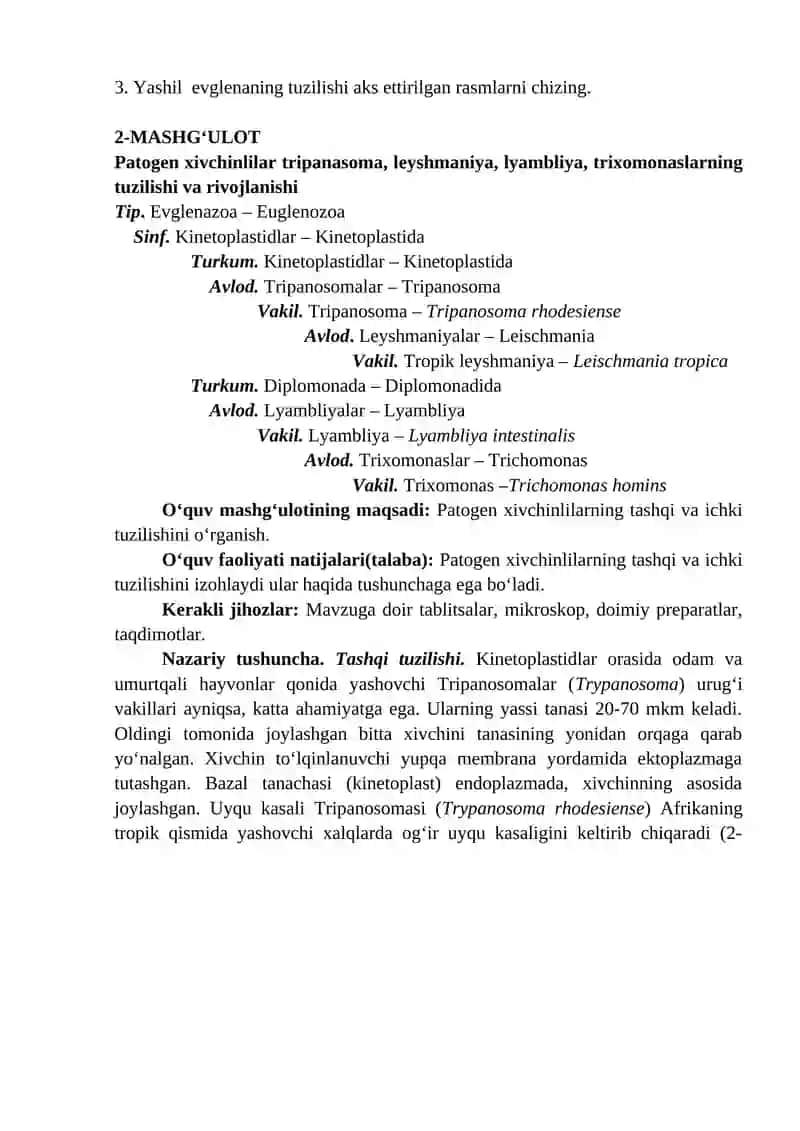 Euglena viridis yoki Euglena gracilis 3