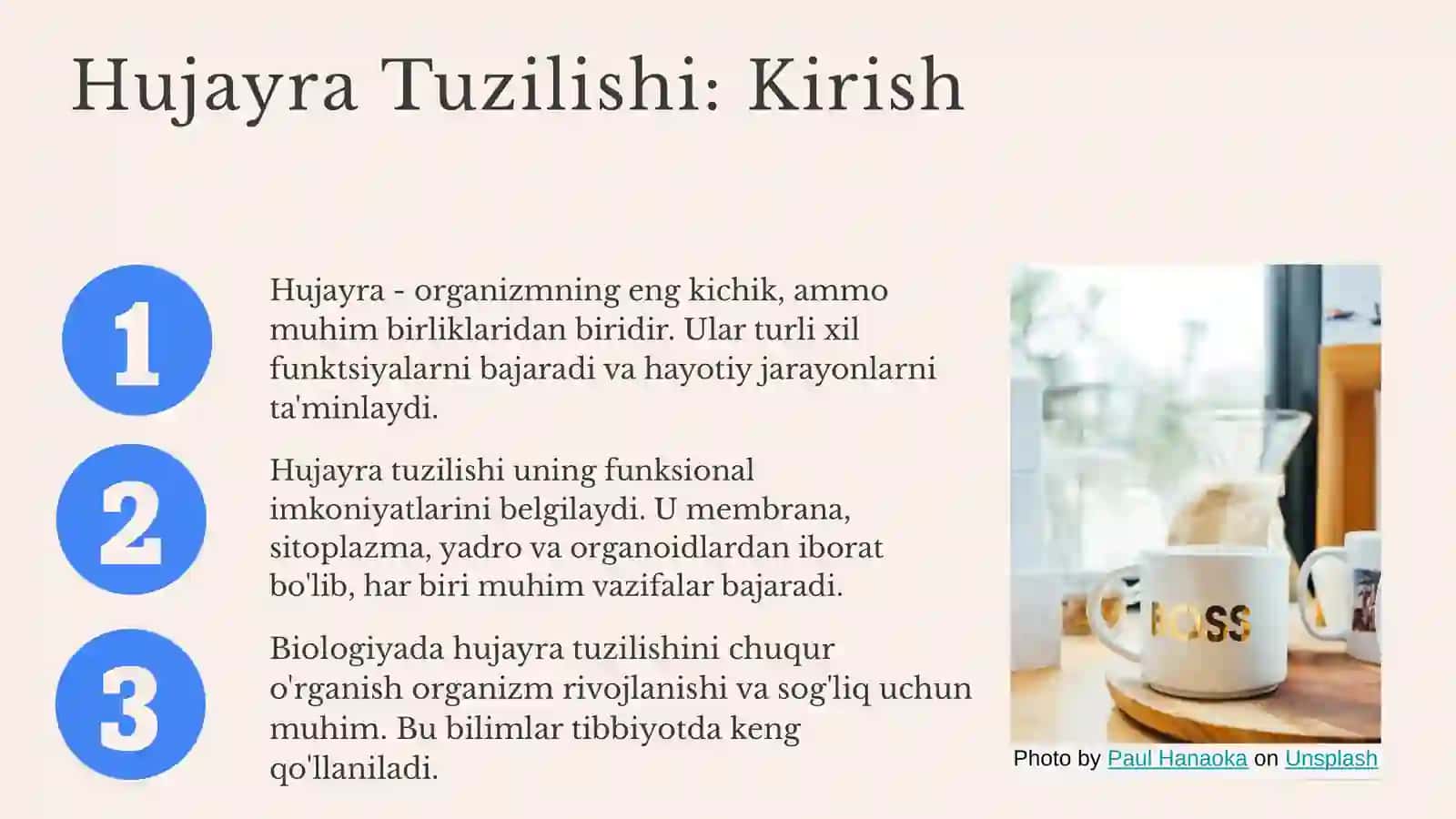 Hujayra Tuzilishi 3