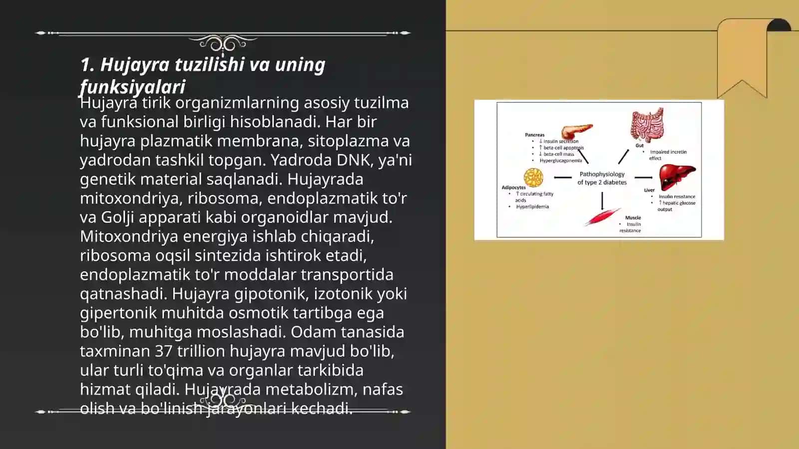 Hujayra patofiziologiyasi 3