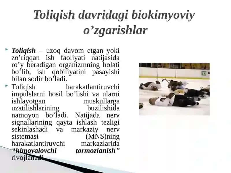 Toliqish Davri va Muskulishidan so'ng Dam Olish Davrida Sodir Bo'ladigan Biokimyoviy O'zgarishlar 3