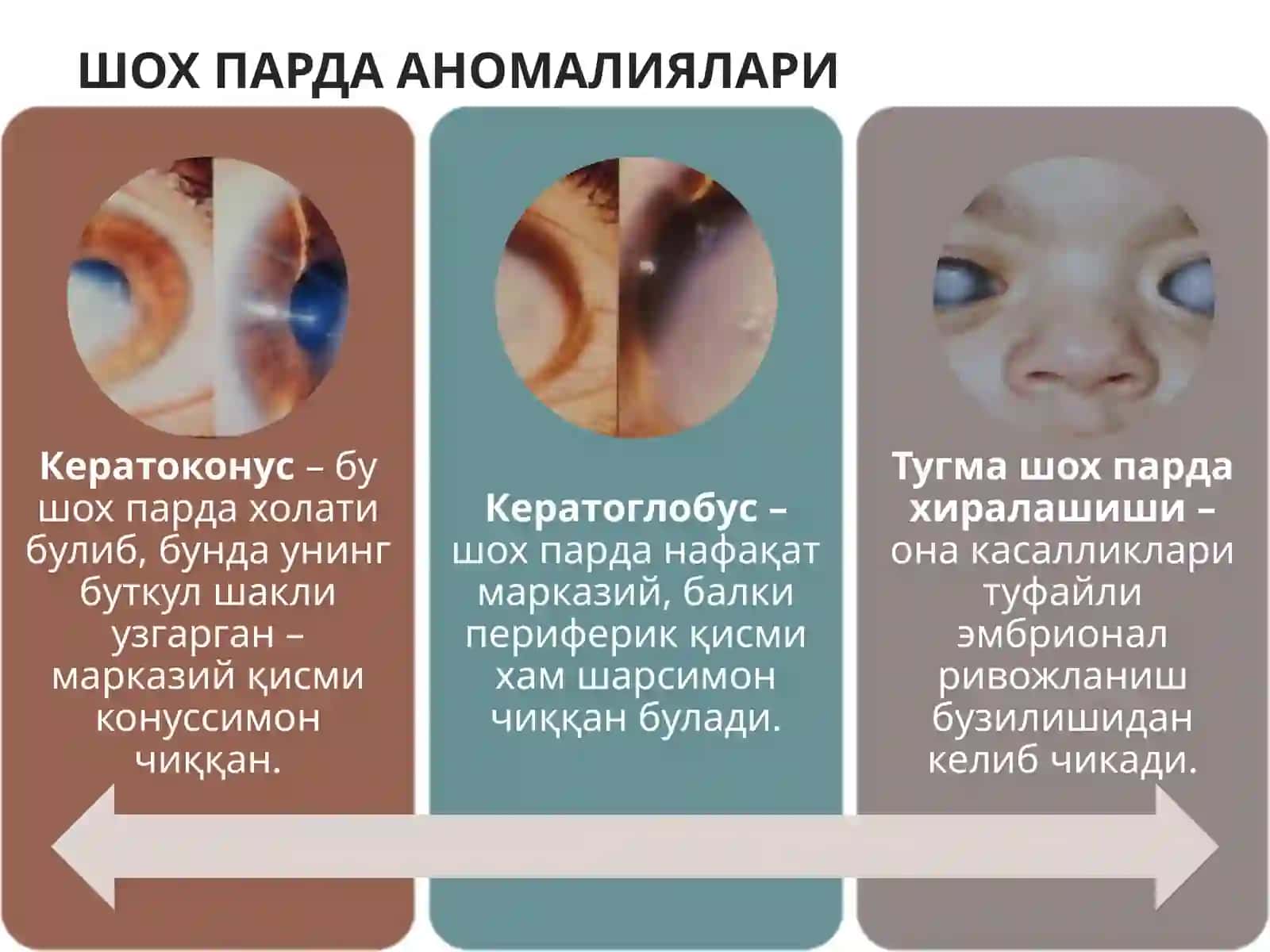Shoxpardakasalliklarikeratitlar BAJARDI 3