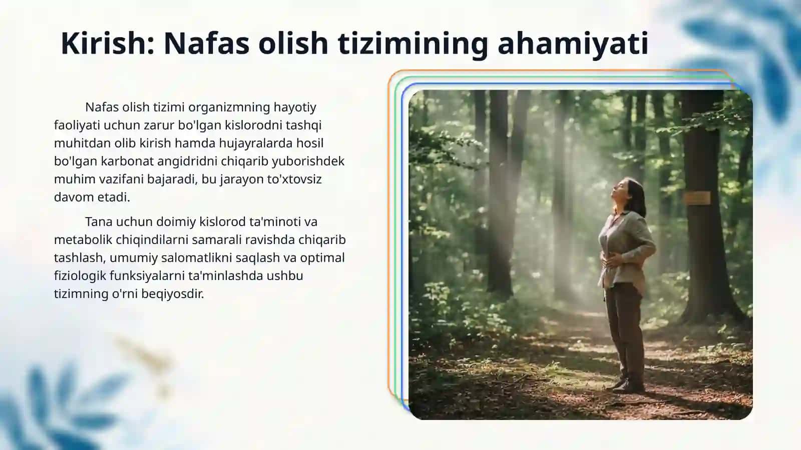 Nafas olish tizimi 3