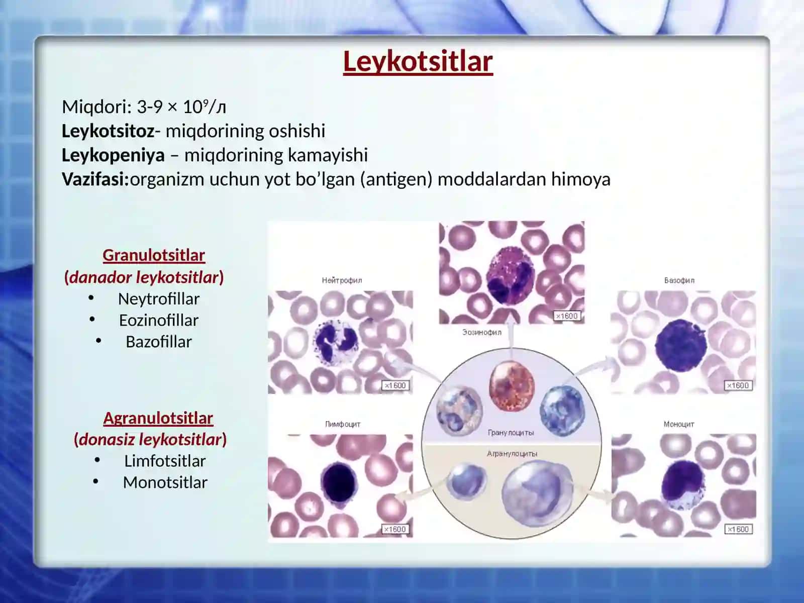 Leykotsitlar patofiziologiyasi 3