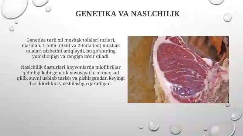 Go’shtning sifatiga ta'sir etuvchi omillar 3