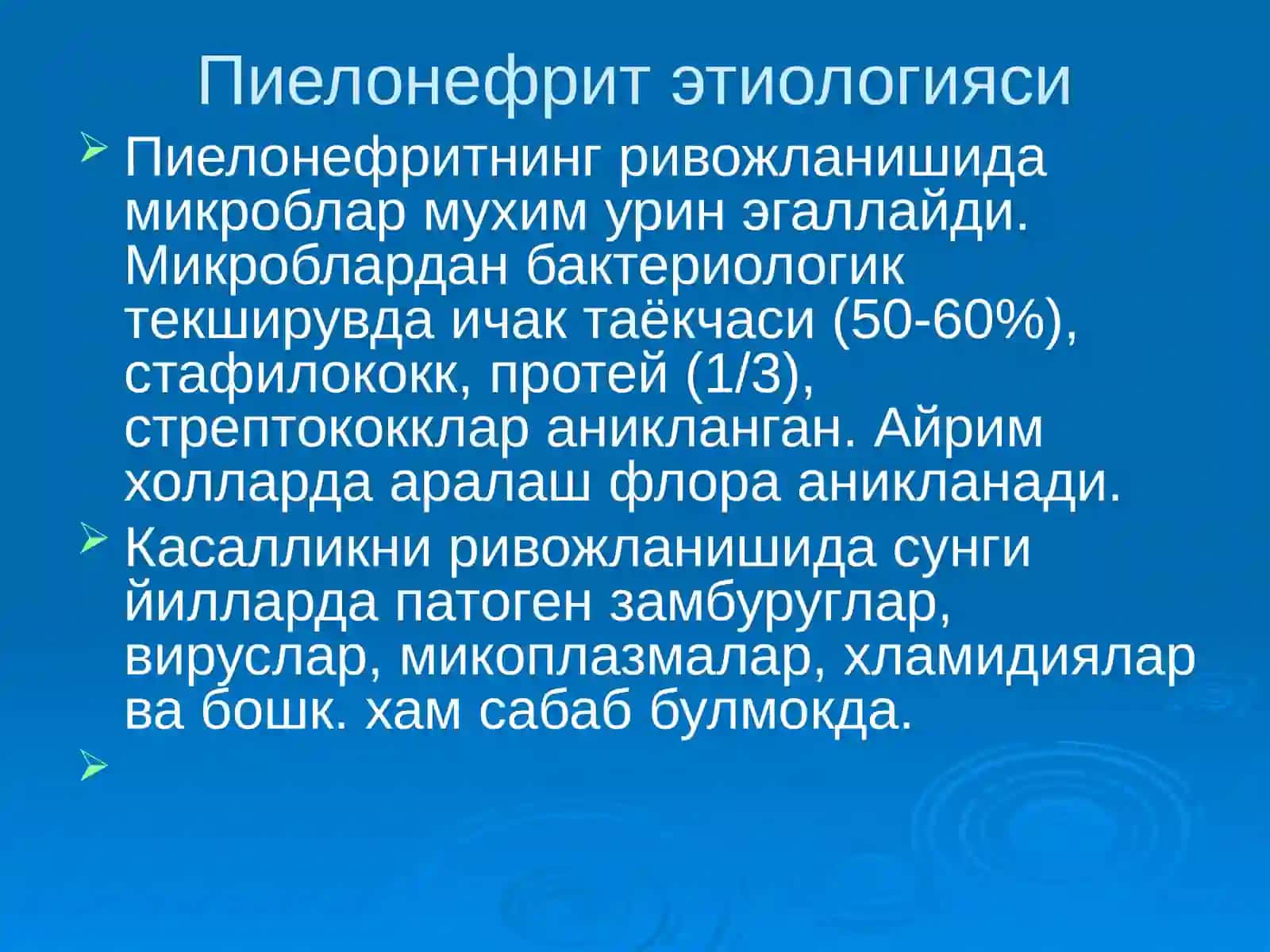 Пиелонефритлар 3