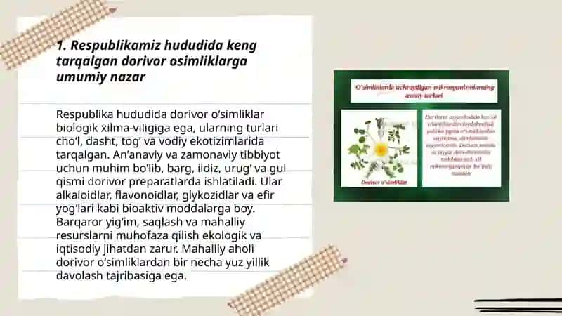 Dorivor Osimliklar va Ular Ahamiyati 3