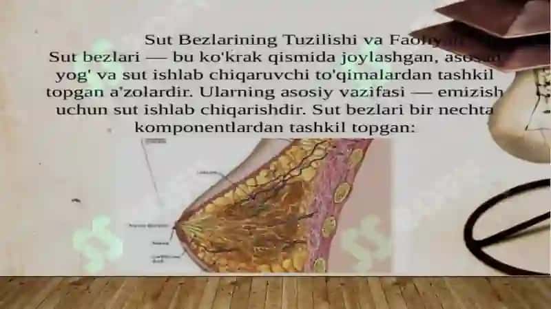 Sut bezlari gistogenezi va gistofiziologiyasi. Laktatsiya jarayonining neyrogumoral mexanizmlari mavzusida 3