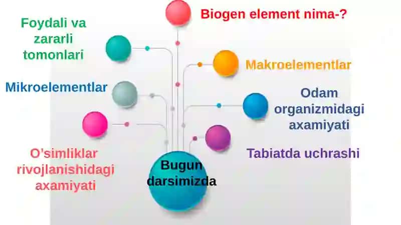 Biogenelementlarvaularningtirikorganizmlardagiaxamiyati 3