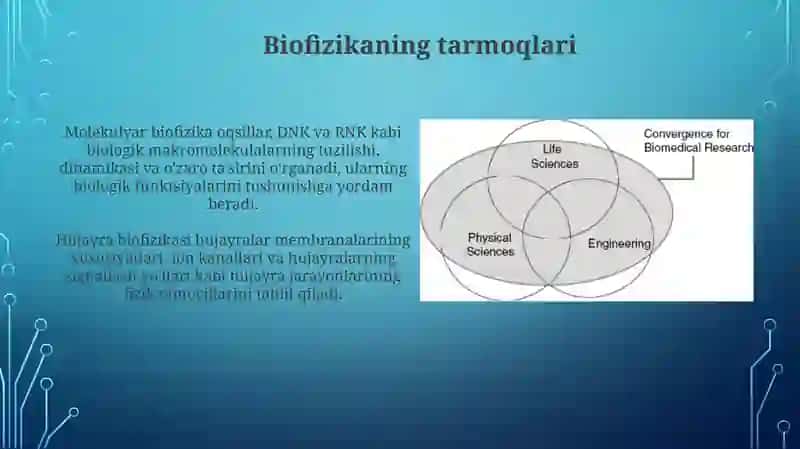 Biofizika fanining bo‘limlari, boshqa fan sohalari bilan aloqadorligi 3