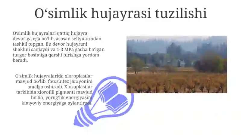 O'simliklar hujayrasi va osmos xodisasi 3