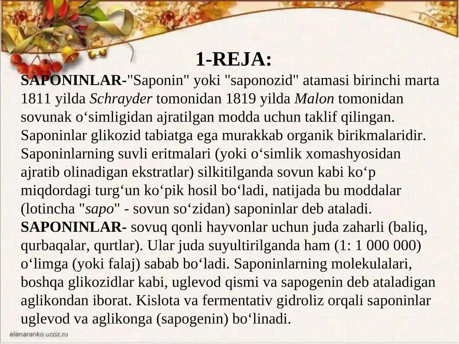 SAPONINLAR 3