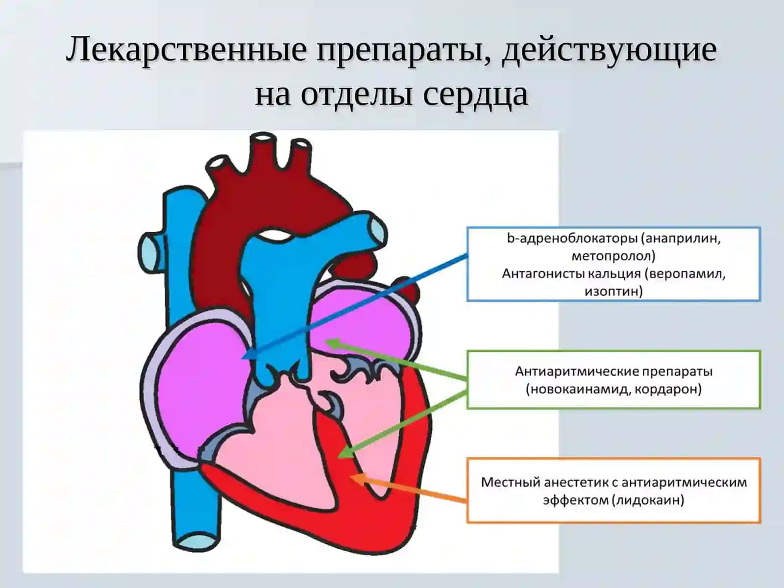 ЭЛЕКТРОКАРДИОГРАФИЯ 3