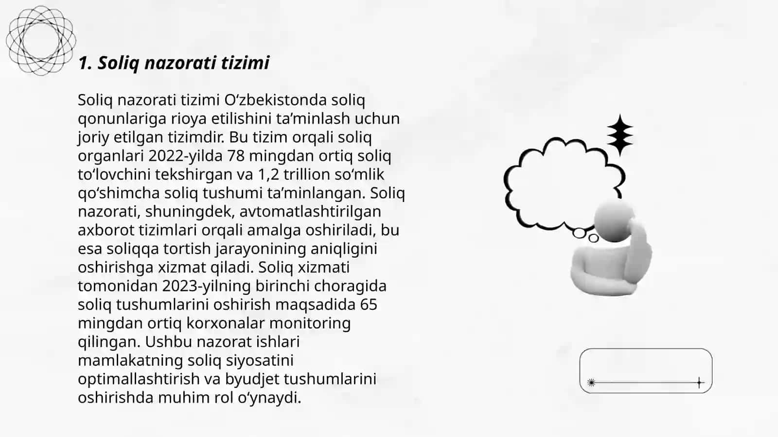 Soliq nazorati tizimi 3