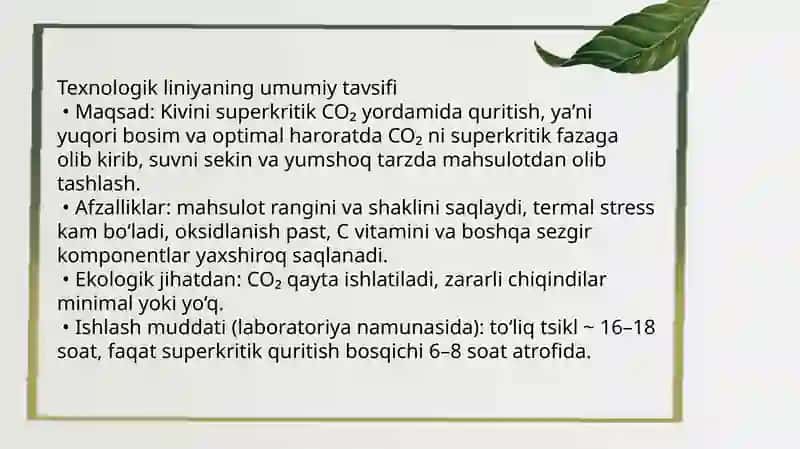 Kivini quritishning zamonaviy texnologiyalari 3