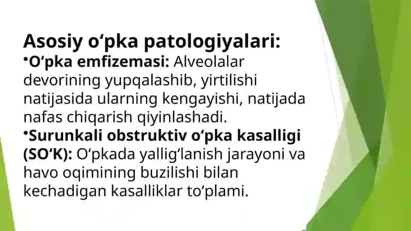 Oʻpkapatologiyasi 3