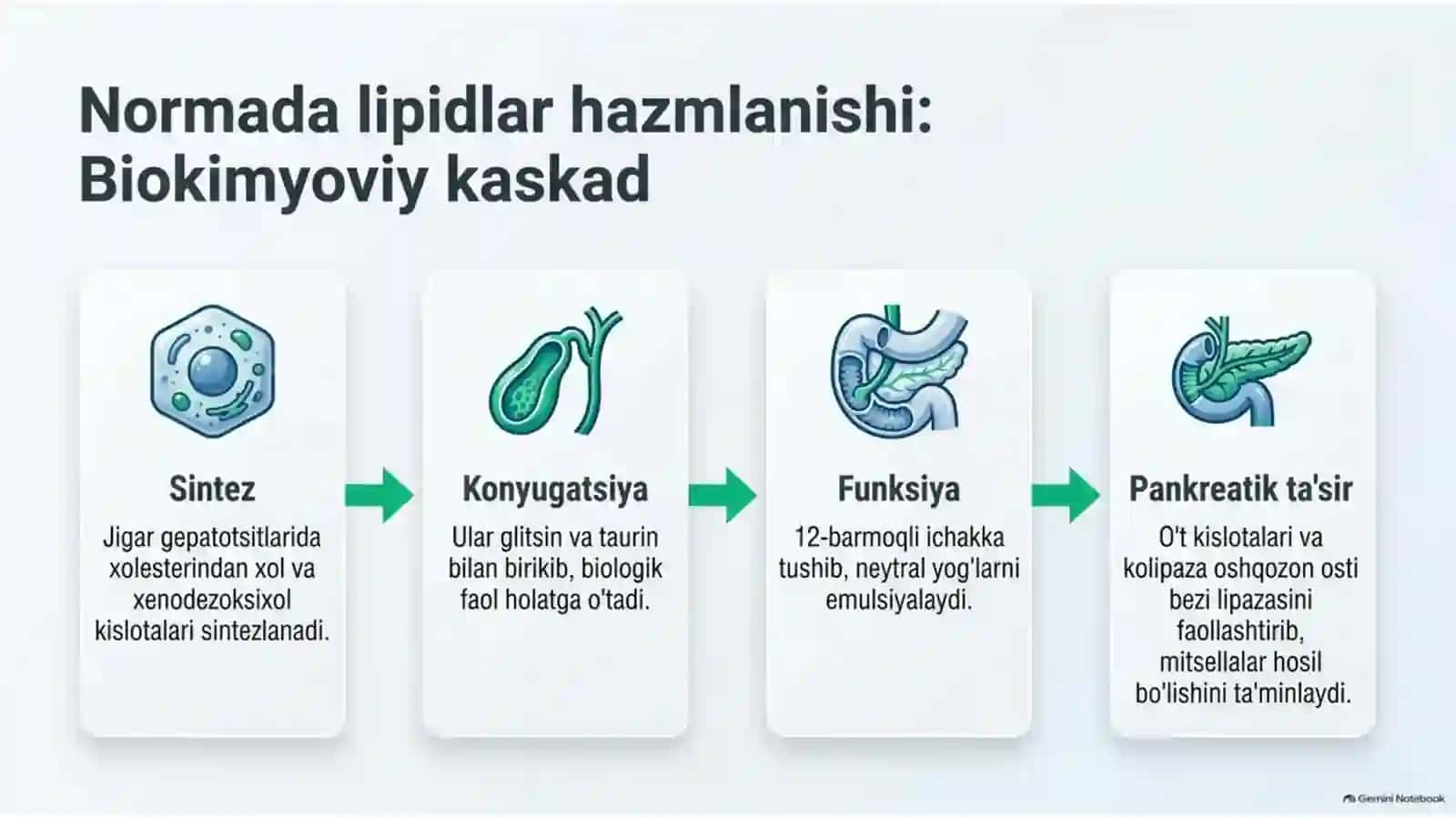 Xoletsistitlarda yog‘lar hazmlanishining buzilishi — 15 slayd 3