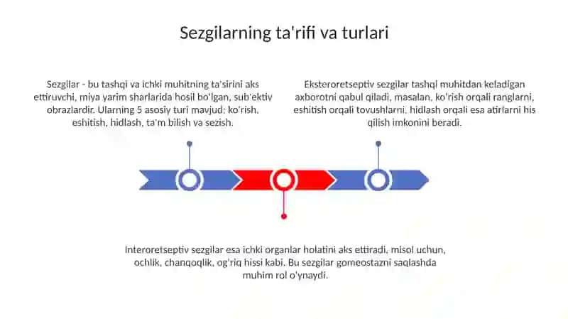 Sezgilarning tasnifi, sezgilarning turlari 3
