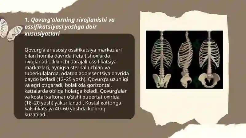 Qovurgʻalar toʻsh suyagi va koʻkrak qafasi ularning yoshga doing xususiyatlari 3