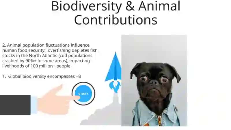 Animal population 3