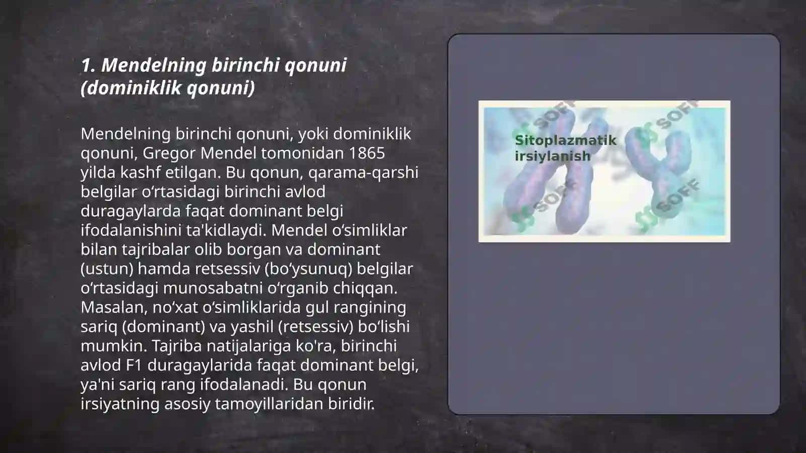 Belgilarning irsiylanish qonunlari irsiyat qonunlari 3