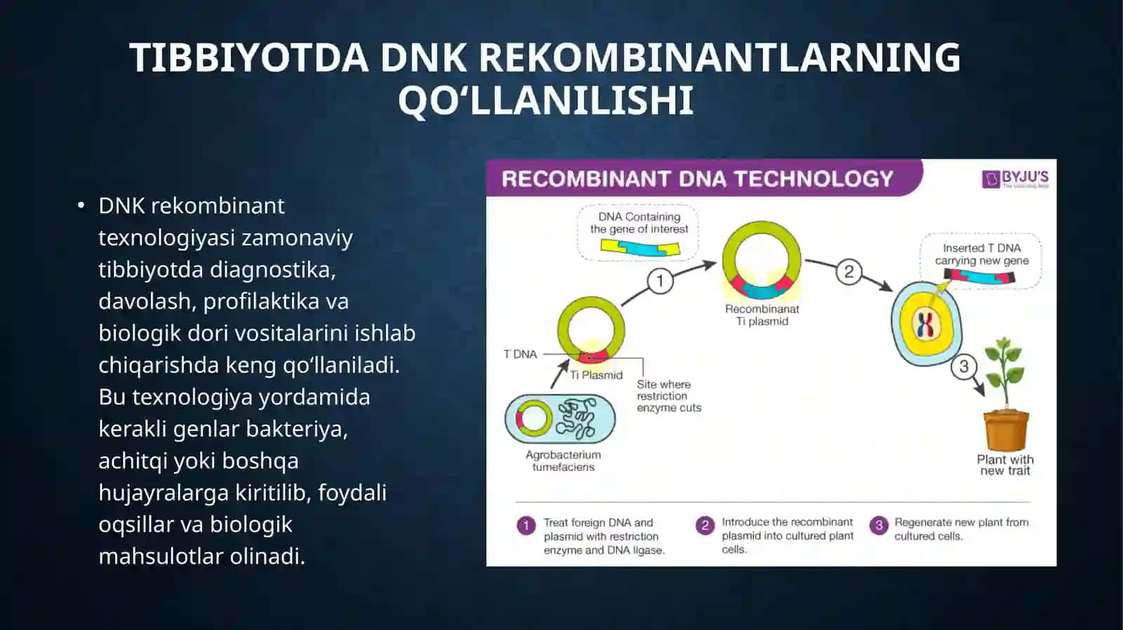 Recombinant dnk biokimyosi 3