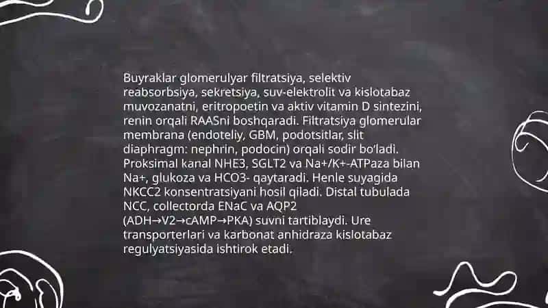 Buyrak kasaliklar patofiziologiyasi 3