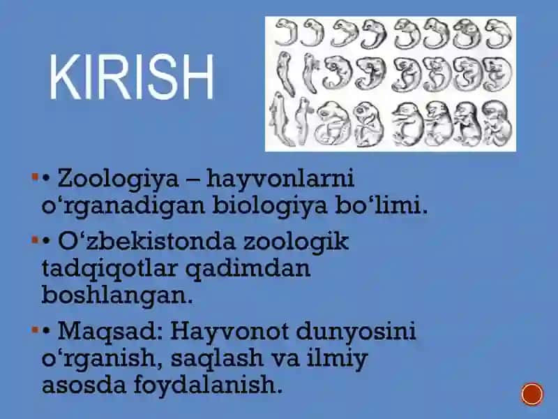 Oʻzbekistonda zoologik tadqiqotlarning rivojlanishi 3