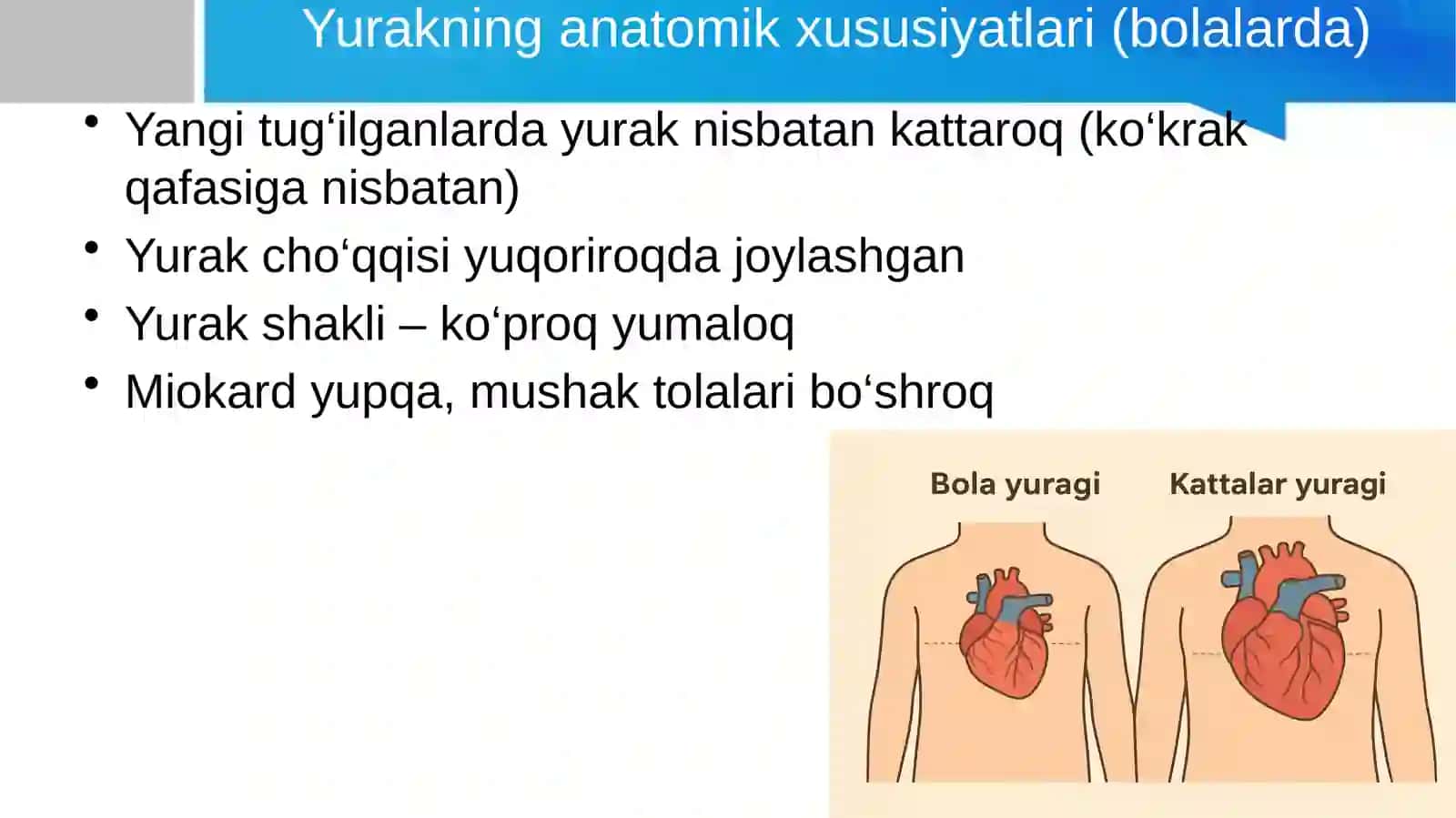 Bolalarda yurak-qon tomir tizimining anatomo-fiziologik xususiyatlari 3