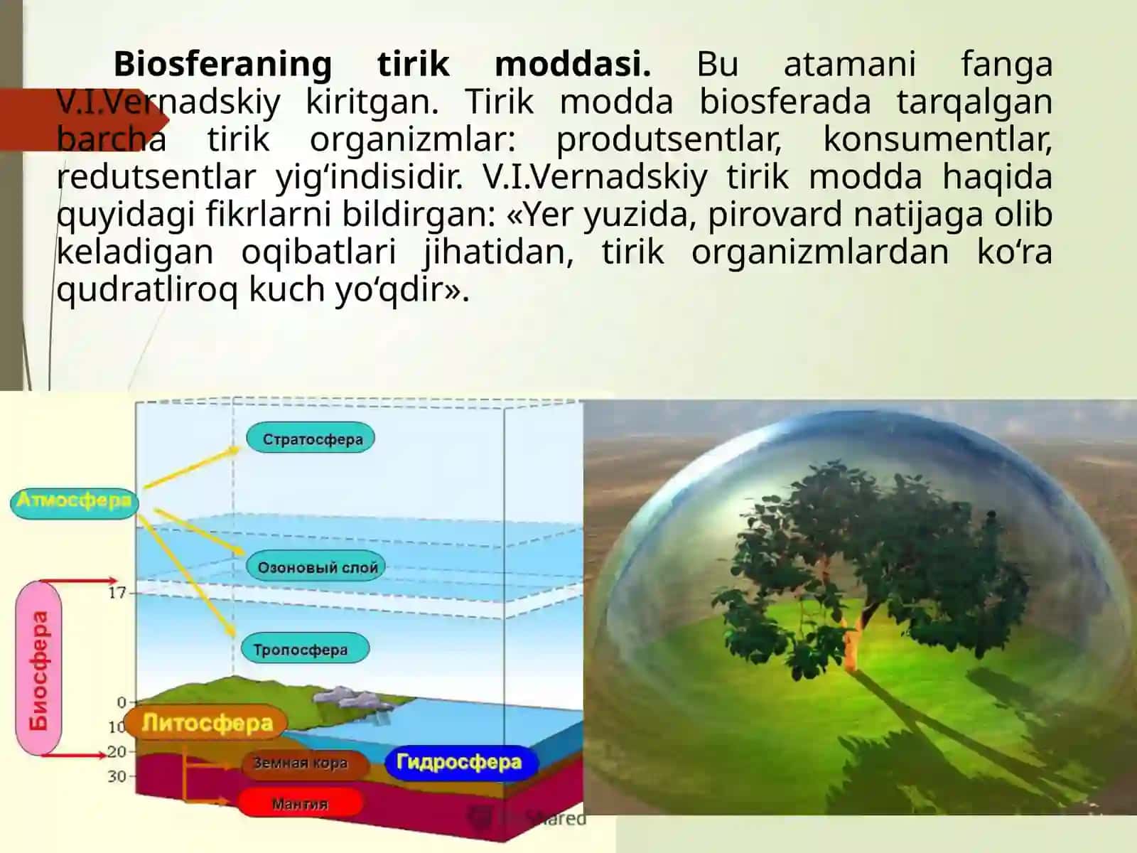 Biosferaning tarkibi 3