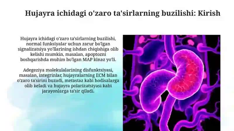 Hujayra ichidagi o'zaro ta'sirlarning buzilishi 3