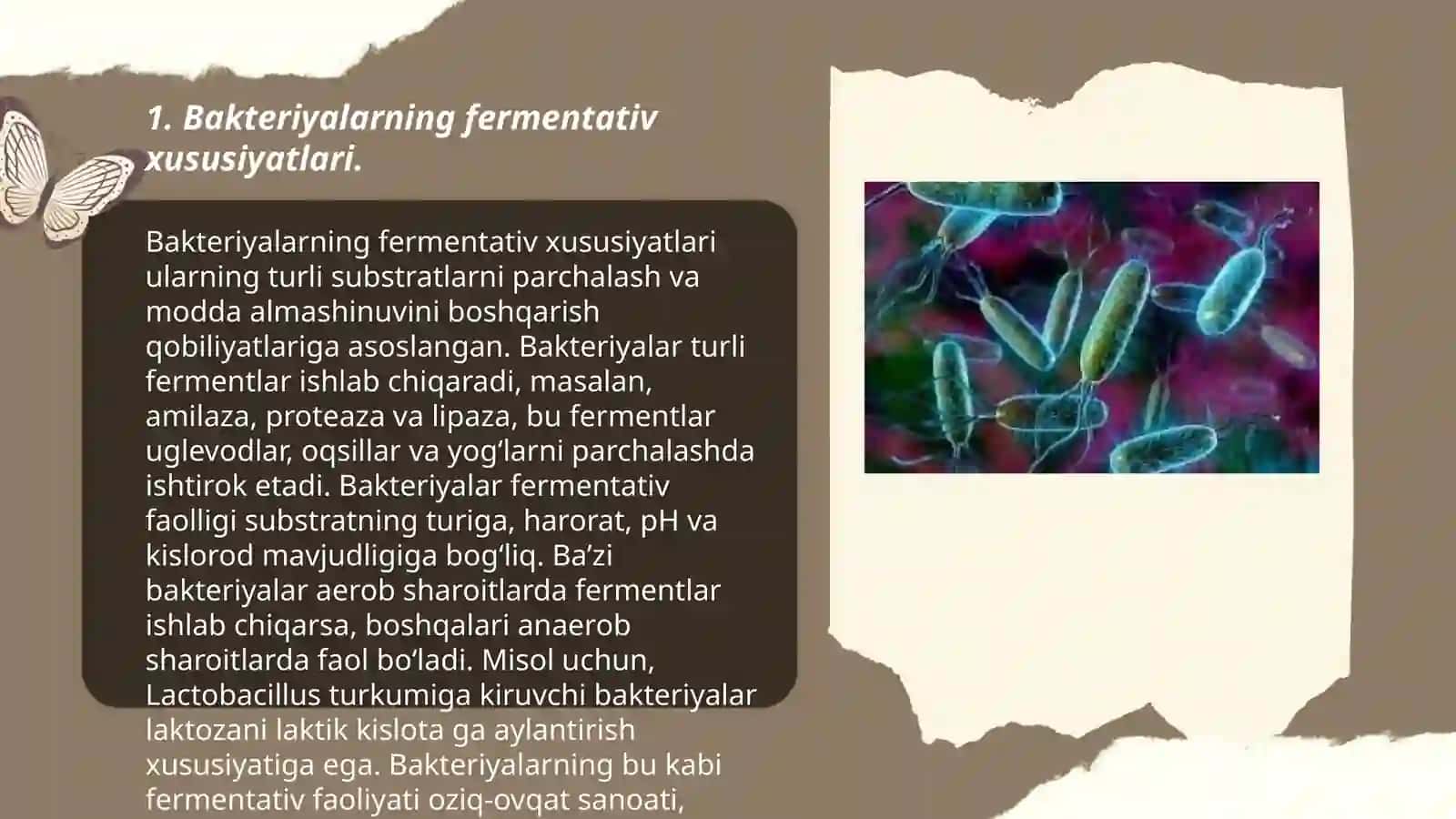 Bakteriyalarni fermentativ, biokimyoviy, serologik xususiyatlarini oʻrganish, oziq muhitlar 3