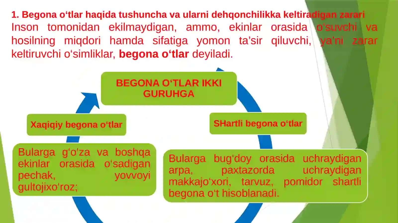 Begona o‘tlar, ularning zarari biologik xususiyatlari 3