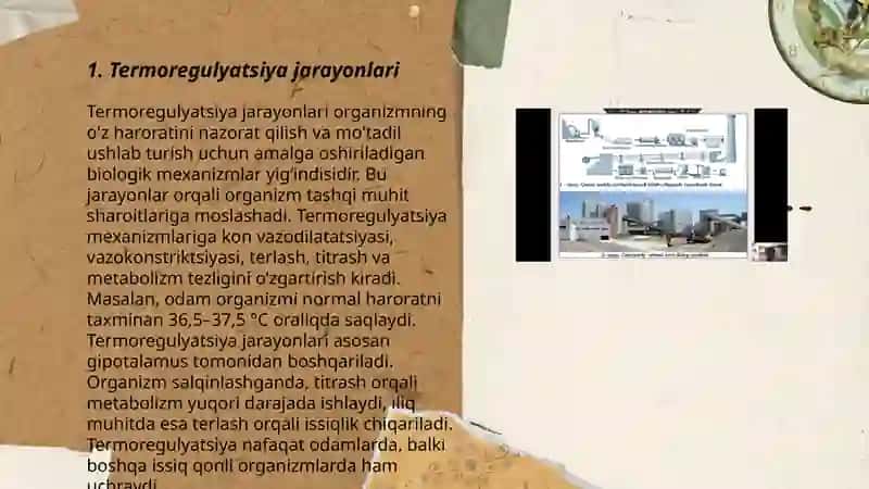 Moddalar va energiya almashinuvini o‘rganish.Termoregulyasiya 3