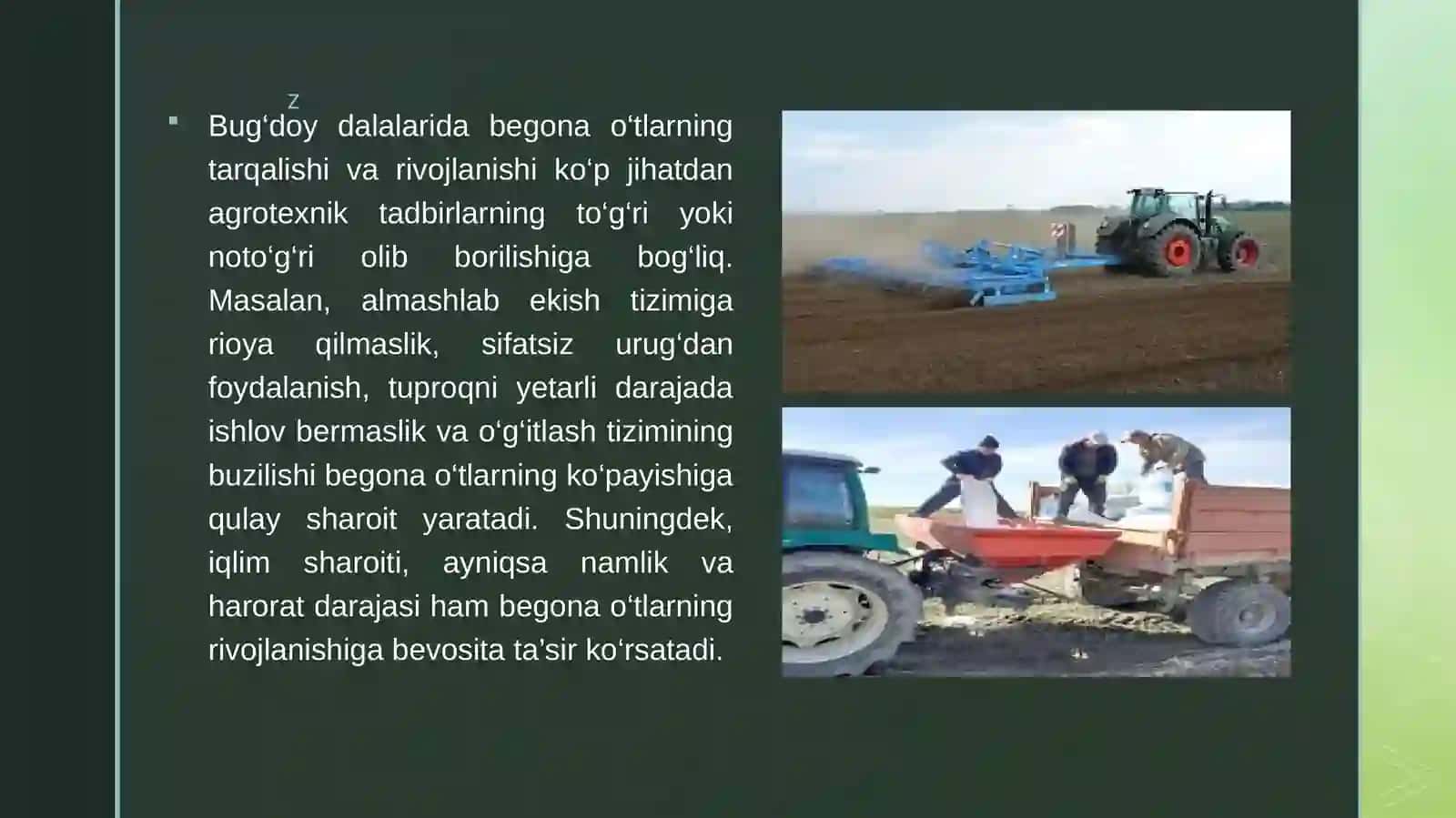 Bug'doy dalalarida begona o'tga qarshi kurashish choralari.pptx 3