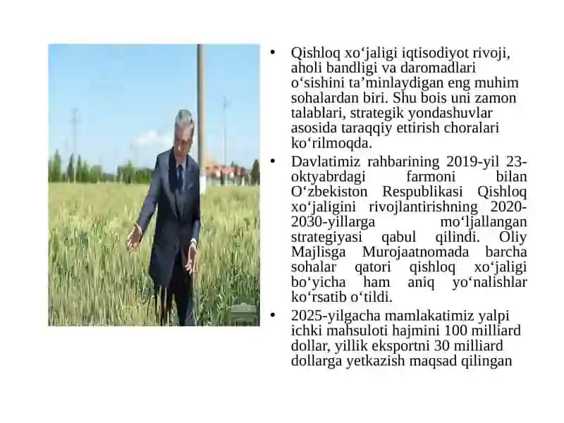 Tuproqning morfologik belgilari va tuzilishi 3