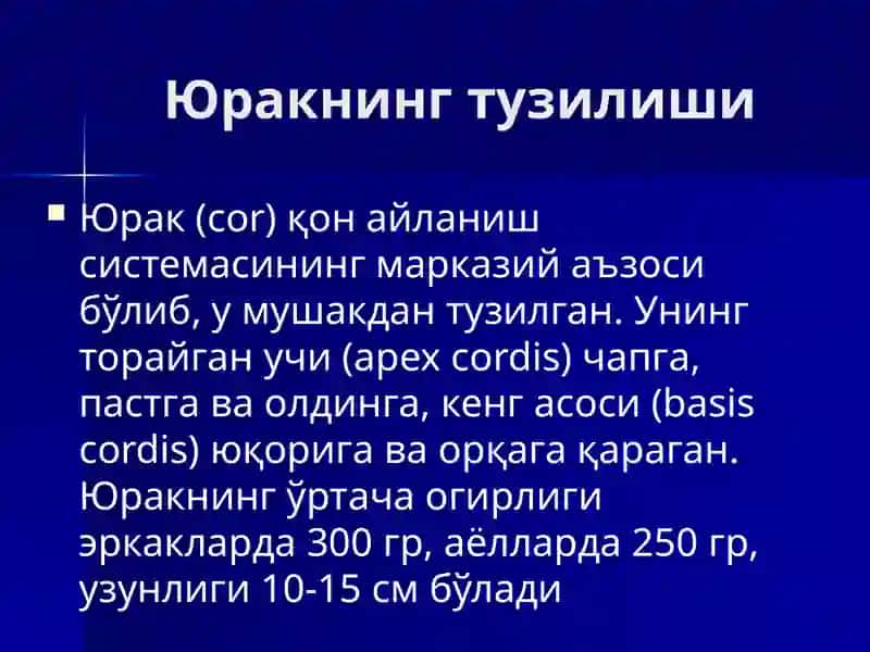 Юрак 3
