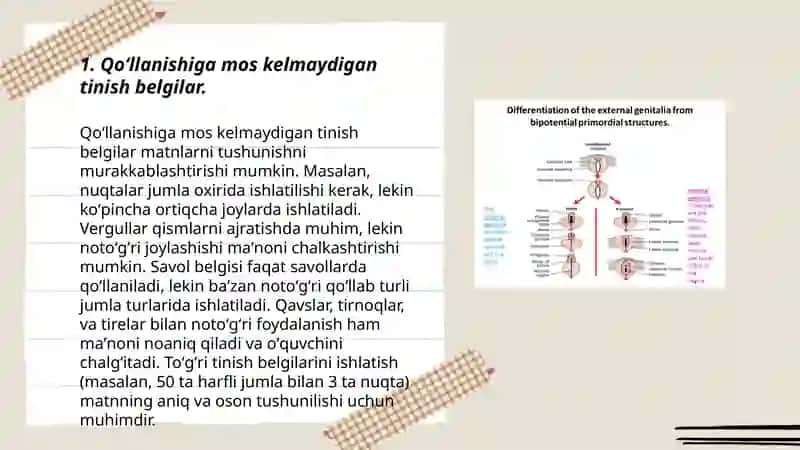 Ona tili–oʻqish savodxonligi va uni oʻqitish metodikasi fanidan tayyorlagan taqdimoti 3
