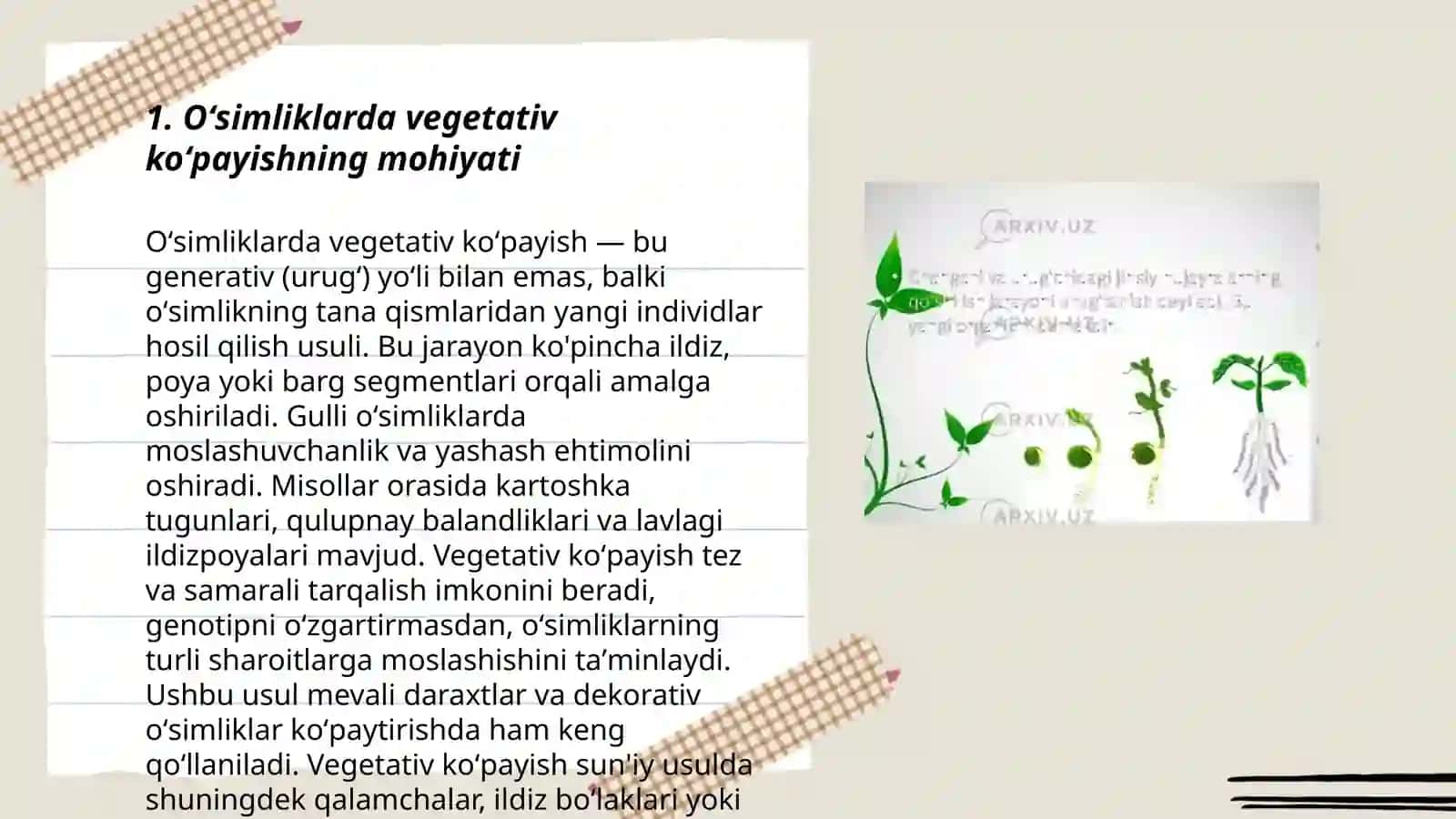 Oʻsimliklarda vegetativ jinsiy jinssiz koʻpayishning mohiyati va ularning qishloq xoʻjaligidagi ahamiyati 3
