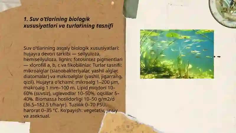 Suv oʻtlari asosida bioyoqolgʻi ishlab chiqarish texnalogiyasi 3