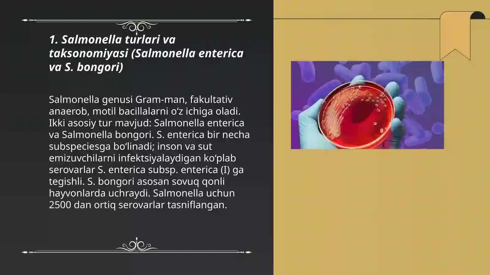 Salmonellalar.Ovqatdan zaharlanish (toksikoinfeksiyalar) va o‘tkir salmonellyozli gastroenterit qo‘zg‘atuvchilari 3