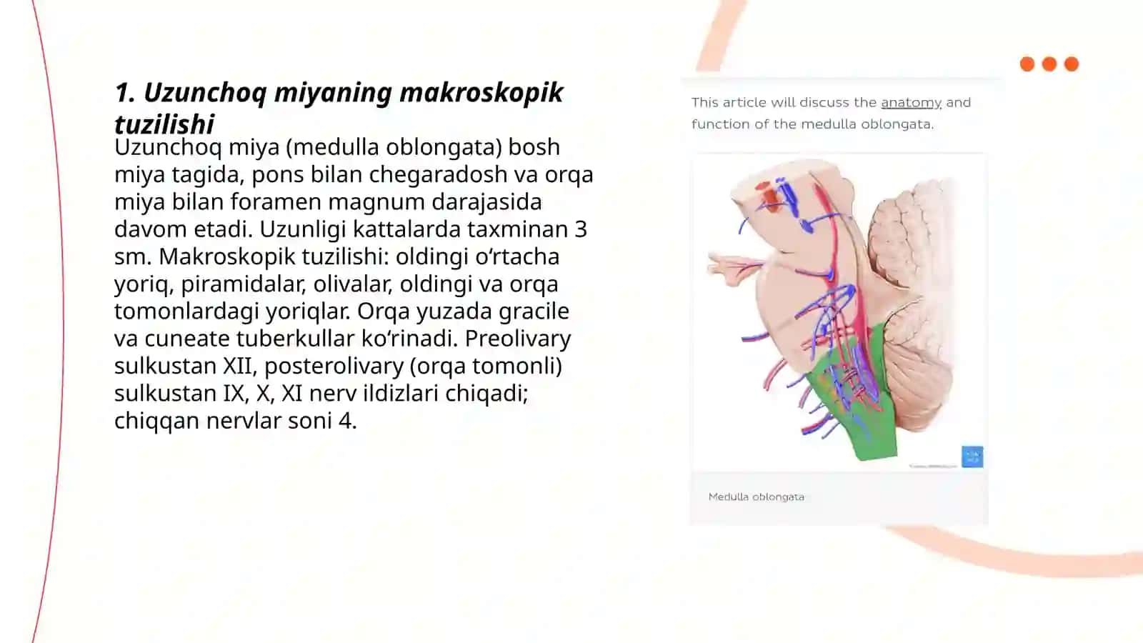 Uzunchoq miya va Koʻprik 3