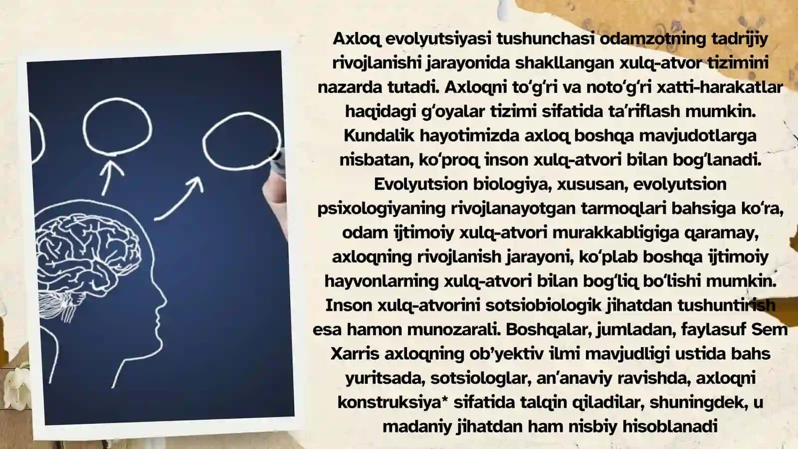 Inson etnologiyasi 3