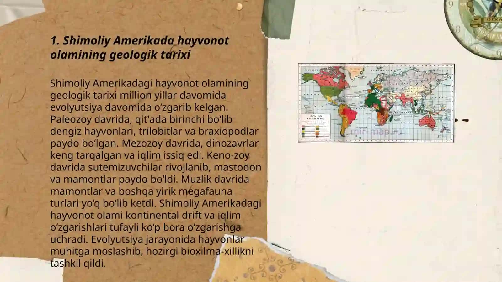 Shimoliy Amerika materigi hayvonot olamining tarqalish qonuniyatlari 3