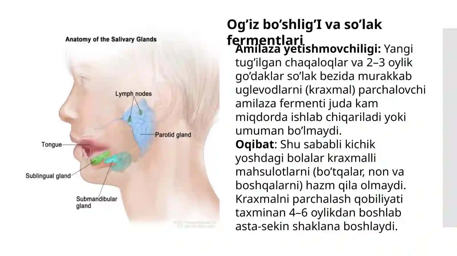 Bolalarda me’da va ichaklarning anatomo-fiziologik xususiyatlari | Pediatriya uchun taqdimot 3