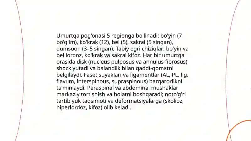 Umurtqa pog'onasi anatomiyasi va uning qaddi qomatga ta'siri 3