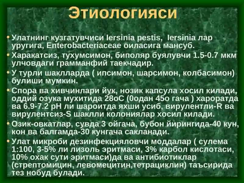Улат 3