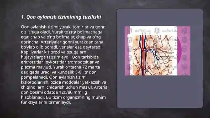 Qon tomirlarida qonning harakati va pulsni oʻrganish 3