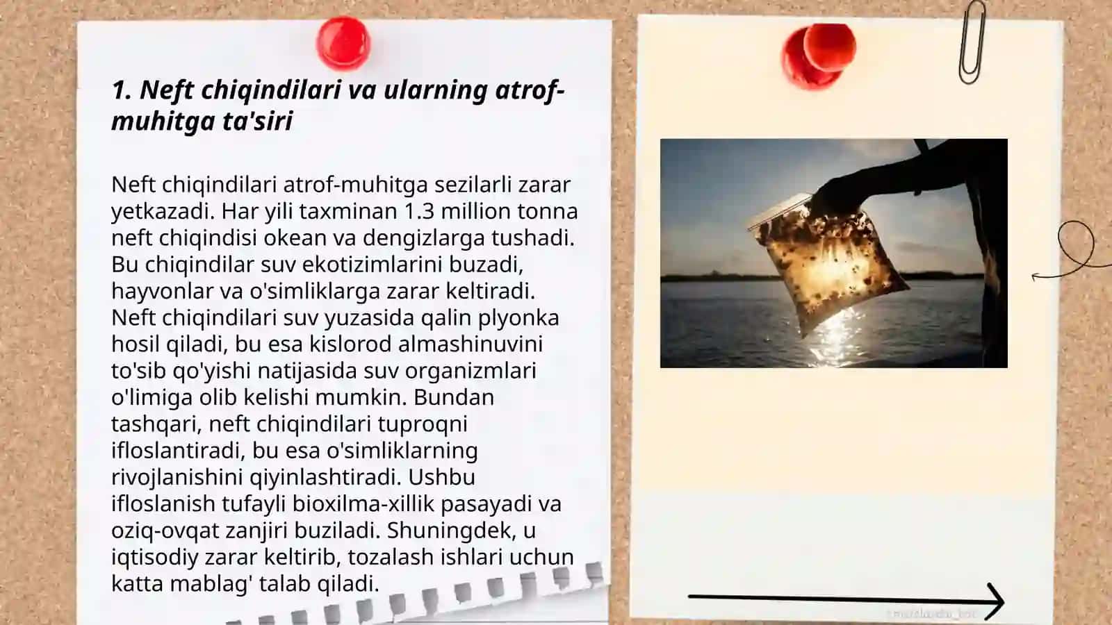 Neft bilan ifloslanish 3